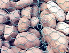 绿格石笼网 pvc包塑石笼网 六角石笼网 石笼网规格